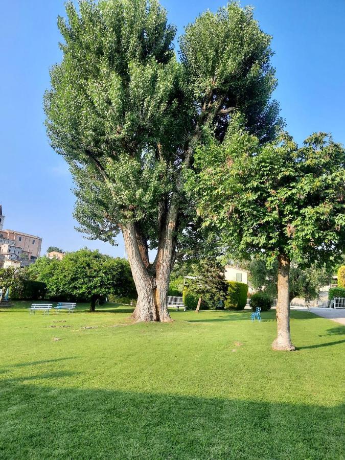 Residenza Palmira Bardolino Leilighet Calmasino Eksteriør bilde